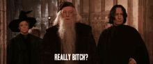 Really Bitch Harry Potter GIF - Really Bitch Harry Potter Professor Severus Snape GIFs