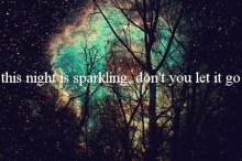 taylor enchanted