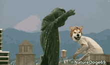 Doge Meme GIF - Doge Meme Dogecoin GIFs