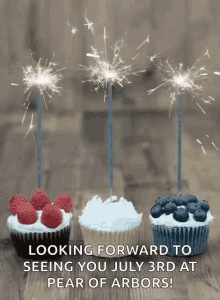 Cupcakes Sparklers GIF - Cupcakes Sparklers 4thofjuly GIFs