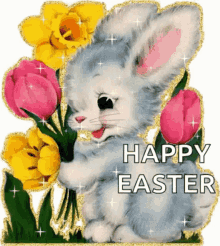 happy easter easter sunday rabbit flowers bunny