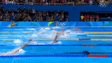 Backstroke Olympics GIF - Backstroke Olympics Swimming GIFs