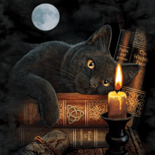 Witchy Halloween GIF - Witchy Halloween Kitty GIFs
