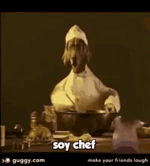 soy chef i am a chef dog mixing