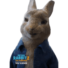 smile peter rabbit peter rabbit2 peter rabbit the runaway happy