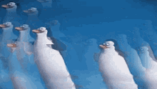 Butt Hunting Special Penguin Dancey Dance Bestie Gif Yass GIF - Butt Hunting Special Penguin Dancey Dance Bestie Gif Yass GIFs