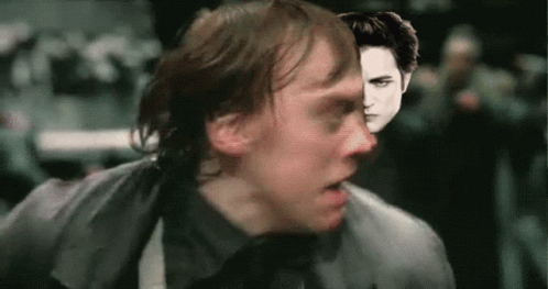 Harry Potter Ron Weasley GIF - Harry Potter Ron Weasley Scared