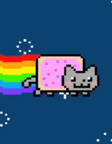 nyan cat pop tart grey cat rainbow sparkles