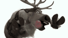 Elk Lick GIF - Elk Lick Tongue GIFs