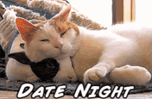 Date Night GIF - Date Night Bunny Kitty GIFs
