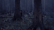 Ghost Forest GIF - Ghost Forest Spooky GIFs