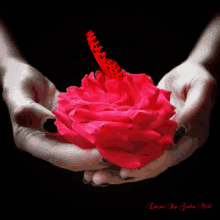 Red Rose GIF - Red Rose Butterfly GIFs