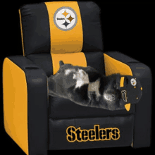 here we go steelers pittsburgh steelers chase claypool ben roethlisberger juju smith schuster here we go steelers pittsburgh steelers chase claypool ben roethlisberger juju smith schuster