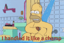 Homer Simpson Handled It GIF - Homer Simpson Handled It Like GIFs