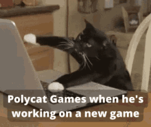Polycat Games Gaming GIF - Polycat Games Polycat Games GIFs