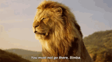 The Lion King Mufasa GIF - The Lion King Mufasa You Must Not Go There Simba GIFs