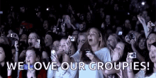 Concert Crowd GIF - Concert Crowd Live GIFs