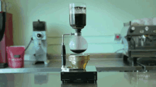 coffee drinks