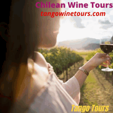 Custom Wine Tour Argentina GIF - Custom Wine Tour Argentina GIFs