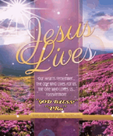 Meadow Clouds GIF - Meadow Clouds Jesus Lives GIFs