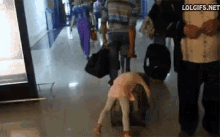 Airport Tired GIF - Airport Tired Luggage GIFs
