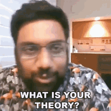 What Is Your Theory Manan Desai GIF - What Is Your Theory Manan Desai Comedy Talk Show GIFs
