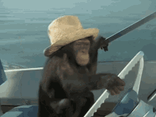 Monkey Driving Boat GIF - Boat Monkey Driving Monkey GIFs