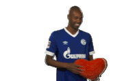 Naldo S04 Sticker - Naldo S04 Schalke Stickers