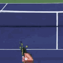 monica niculescu forehand slice tennis wta