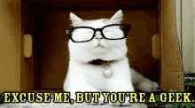 Excuse Me, But You'Re A Geek. GIF - Geek Cat Nerd Glasses GIFs