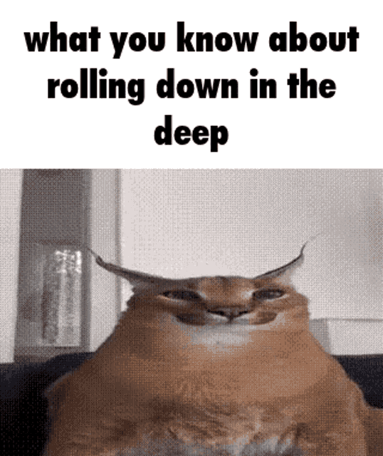 Whatchu know about rolling down in the deep