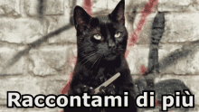 Gatto Nero Sabrina Curioso Pettegolezzo Farsi Le Unghie GIF - Black Cat Sabrina Gossip GIFs