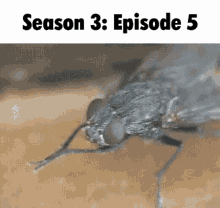 Breaking Bad Season3episode5 GIF - Breaking Bad Season3episode5 GIFs