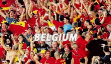 frabel belgium world cup france russia18