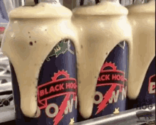 Seepage Beer Party GIF - Seepage Beer Party Alcohol GIFs