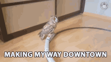 making my way downtown on the way a thousand miles owl train