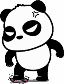 panda rage mad angry pissed off