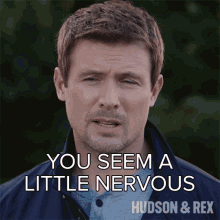 You Seem A Little Nervous Charlie Hudson GIF - You Seem A Little Nervous Charlie Hudson Hudson And Rex GIFs