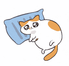Cat Cry Sad Cat GIF - Cat Cry Sad Cat Pillow Cat GIFs