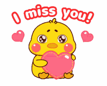 miss you duckling cute