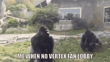 Vertex Fan Lobby GIF - Vertex Fan Lobby Gorilla Tag GIFs