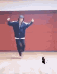 Dancing Dance GIF - Dancing Dance Rat GIFs