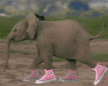 Gotta Pee Elephant GIF - Gotta Pee Elephant Run GIFs