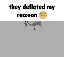 Raccoon Wide Raccoon GIF - Raccoon Wide Raccoon Wide GIFs
