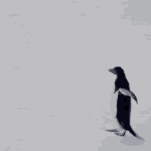 Moving Away Continent7 GIF - Moving Away Continent7 Antarctica GIFs