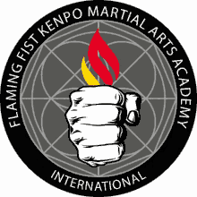 Kenpo Flaming Fist Kenpo GIF - Kenpo Flaming Fist Kenpo Kampskunst GIFs