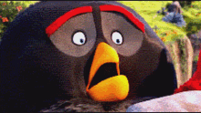 Angry Bird Bomb GIF - Angry Bird Bomb Eww GIFs