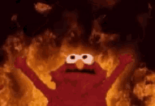 Fire Elmo GIF - Fire Elmo Stop GIFs