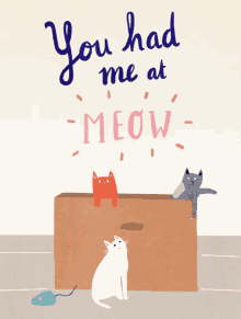 crazy cat lady agnes loonstra illustration cat you had me at meow