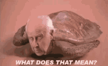What Does That Mean Mean Turtle GIF - What Does That Mean Mean Turtle Oldman GIFs